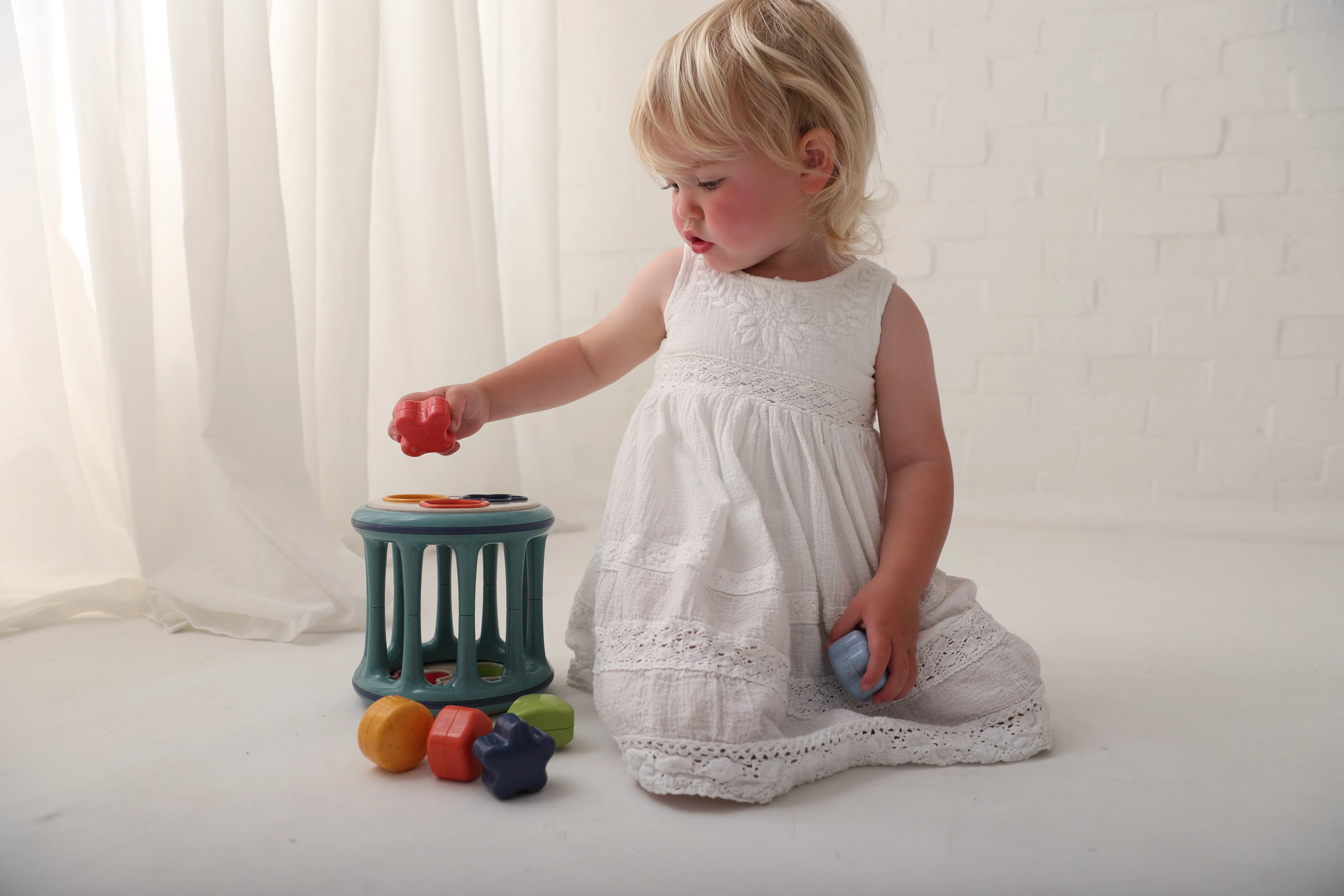 Speedy Monkey Rolling Shape Sorter - TOLO